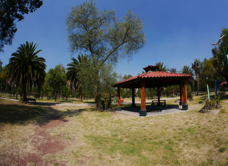 Bosque de San Juan de Aragón, Mexico